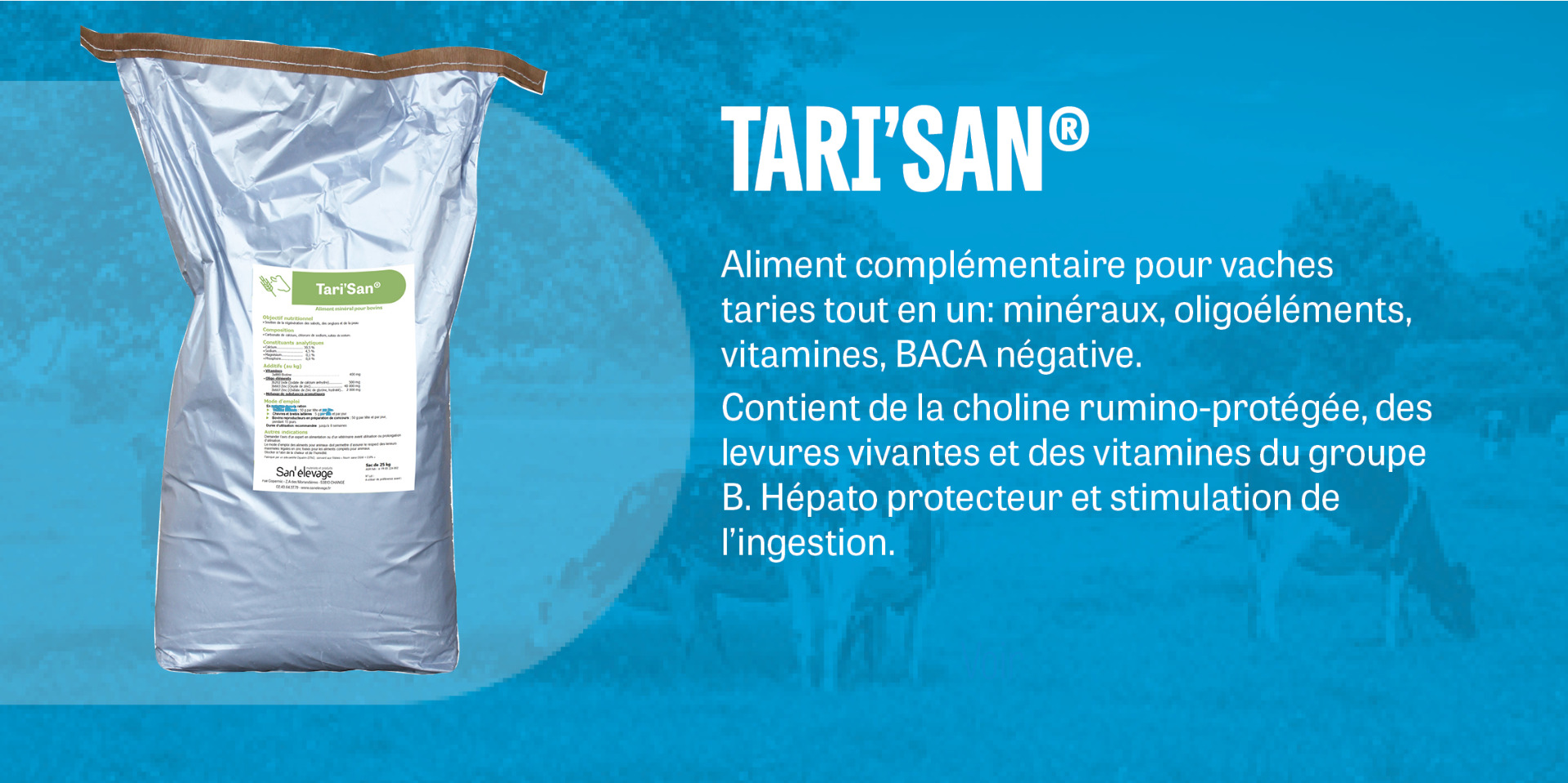 TARI SAN