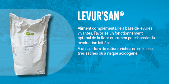 LEVUR SAN