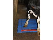 TAPIS POUR ONGLONS HOOF-MAT