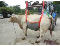 RELEVE VACHE UP COW JUSQU A 1200 KG