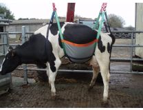 RELEVE VACHE UP COW JUSQU A 800 KG